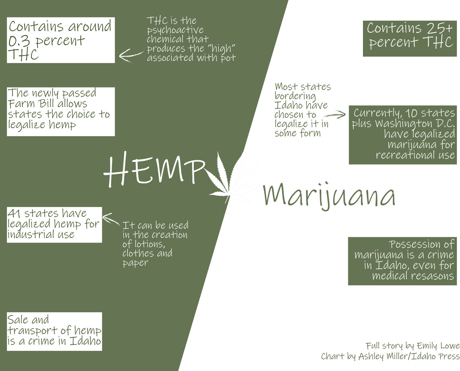 Hemp versus marijuana
